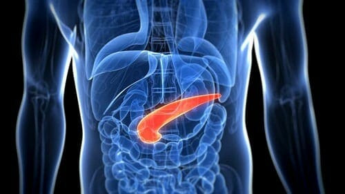 A hasnyálmirigy és az epeutak molekuláris diagnosztikája és kezelése
